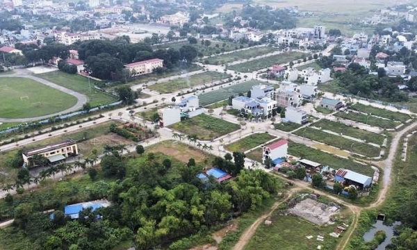 Thái Nguyên: Vì sao Dự án Khu đô thị Hồng Vũ hơn 10 năm triển khai vẫn là bãi chăn thả trâu bò?