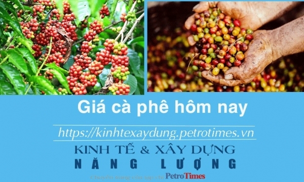 Giá cà phê hôm nay 18/12: Tiếp tục tăng
