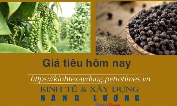 Giá tiêu hôm nay 18/12: Liệu có giữ được đà tăng?