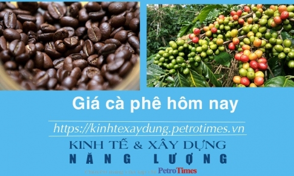 Giá cà phê hôm nay 19/12: Robusta và Arabica đi trái chiều