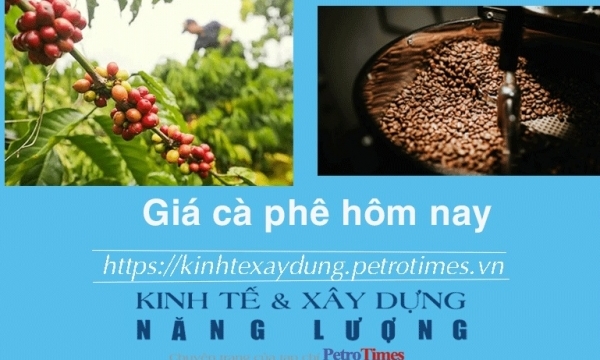 Giá cà phê hôm nay 28/12: Tăng nhẹ ở một số địa phương