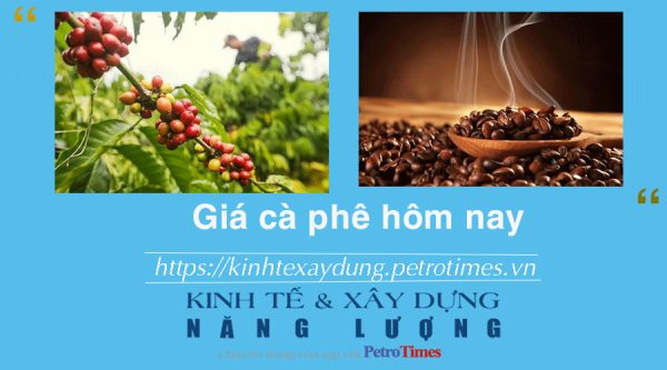 Giá cà phê hôm nay 29/12: Thị trường trong nước tăng cao