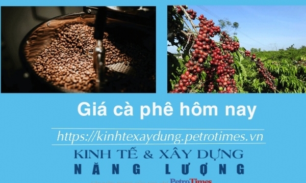 Giá cà phê hôm nay 2/1: Tăng nhẹ trở lại