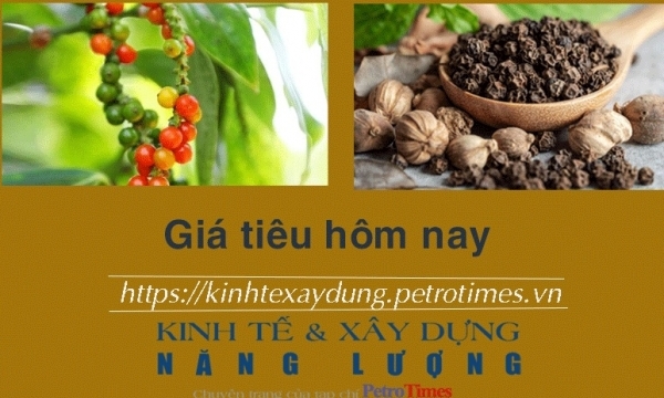 Giá tiêu hôm nay 3/1: Tăng tại Đông Nam Bộ