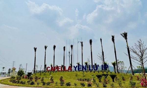 Bắc Giang xử phạt Công ty Bất động sản Capella 135 triệu đồng