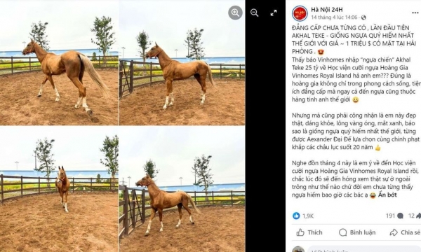 Hé lộ khoản đầu tư khủng của Học viện cưỡi ngựa Hoàng Gia đầu tiên tại Việt Nam