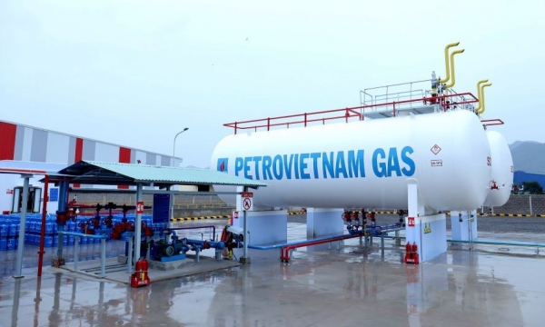 PVG sắp phát hành 3,5 triệu cổ phiếu trả cổ tức