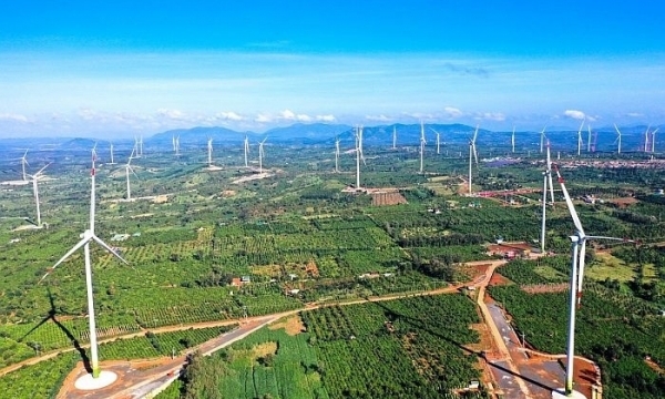 Cổ phiếu tăng mạnh, Điện Gia Lai làm ăn ra sao?
