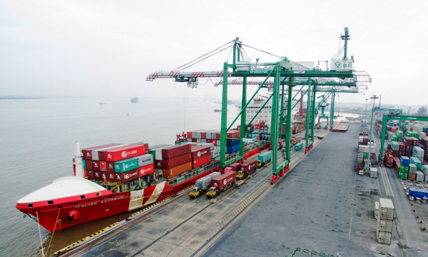 Cảng Xanh VIP chốt ngày chia cổ tức tỷ lệ 20% bằng tiền mặt