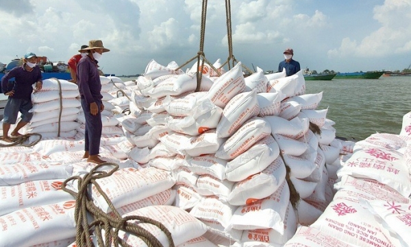 Việt Nam chi gần 850 triệu USD để nhập khẩu gạo trong 8 tháng