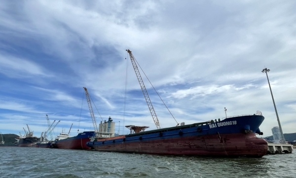 Cảng Quy Nhơn thua “lấm lưng trắng bụng” trong một vụ kiện, buộc phải trả hơn 1,8 tỷ đồng