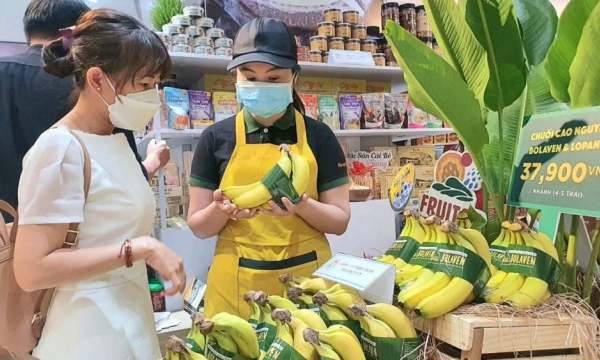 Hoàng Anh Gia Lai doanh thu bán heo sạch, trái cây sụt giảm vẫn hoàn thành 64,5% kế hoạch lợi nhuận năm 2024
