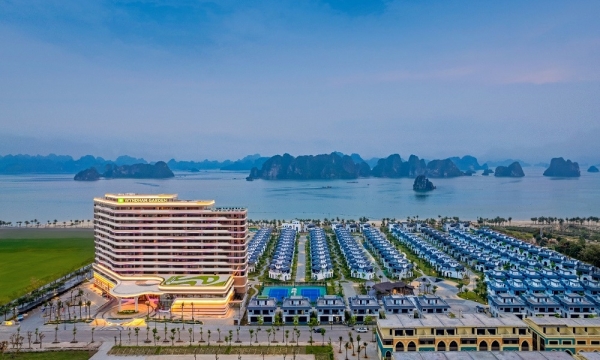 Dòng tiền kinh doanh âm gần 137 tỷ đồng, Tập đoàn CEO hoàn thành 68% mục tiêu lợi nhuận cả năm sau 9 tháng