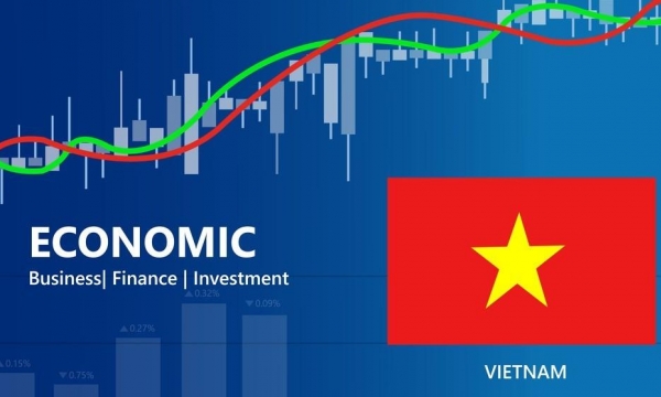 Kinh tế số Việt Nam giữ vững mức tăng trưởng ấn tượng