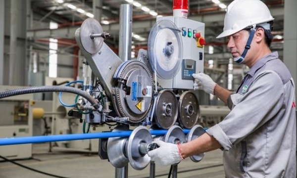 Kinh doanh thuận lợi, Nhựa Tiền Phong (NTP) chi hơn 200 tỷ đồng trả cổ tức