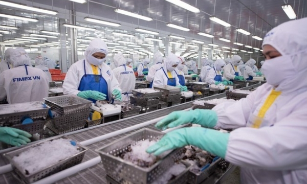 PAN Group thiết lập kỷ lục doanh thu năm 2024