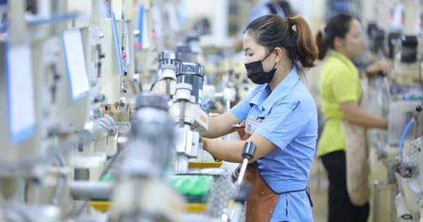 Thị trường lao động đầu năm 2025: Nhu cầu tuyển dụng tăng 19% so với năm trước