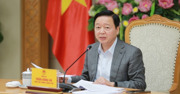 Khẩn trương hoàn thiện, sớm ban hành 2 nghị định về đất đai, bất động sản