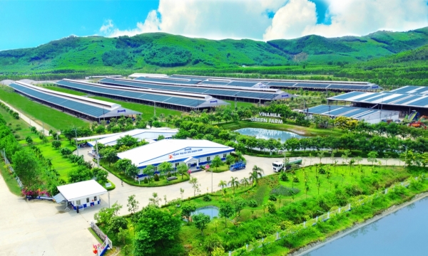 Thông điệp đầy cảm hứng về hành trình 'vượt bão' và tầm nhìn chiến lược của Vinamilk