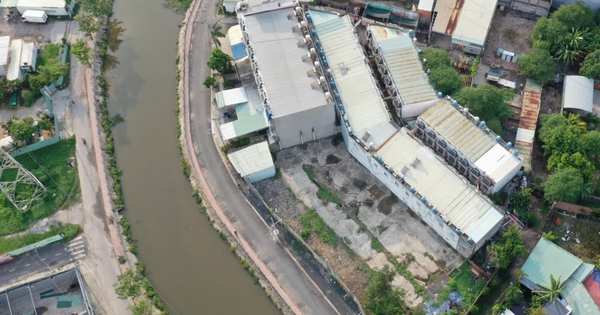 TPHCM: Hàng chục hộ dân thấp thỏm lo mất nhà