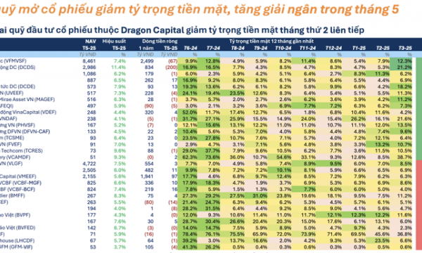 Thị trường tháng 5/2025: Quỹ đầu tư nới lỏng “phanh” - Niềm tin đang trở lại?
