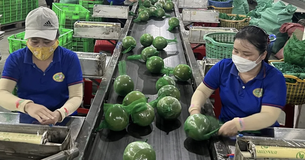 UOB: 'Chính sách thuế vẫn là rào cản lớn với Việt Nam'