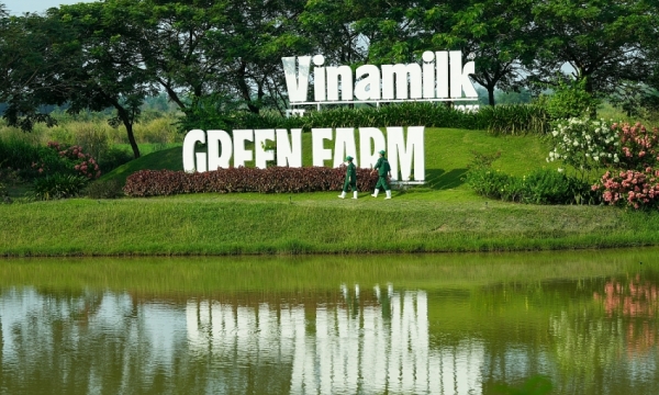 Vinamilk “Mở khóa tự nhiên” tại Green Farm: Mô hình sinh thái truyền cảm hứng doanh nghiệp.