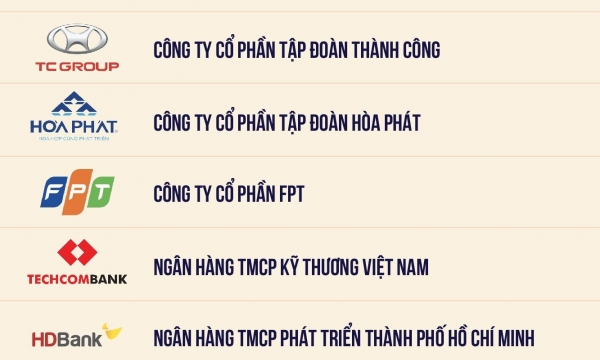 Vingroup, Thaco, TC Group, Hòa Phát, FPT dẫn đầu doanh nghiệp tư nhân nộp ngân sách 2024