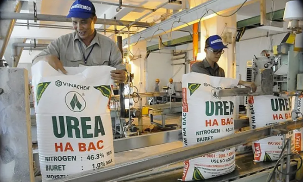 Giá urê tăng mạnh, doanh nghiệp phân bón hưởng lợi từ xu hướng thị trường