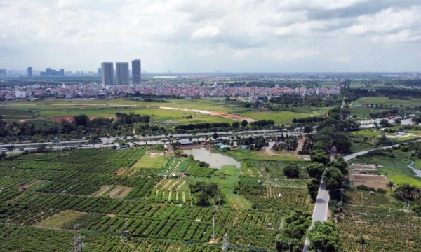 Điểm tin xây dựng - bất động sản tuần qua: Thêm 3 thủ tục mới về đất đai làm tại cấp xã