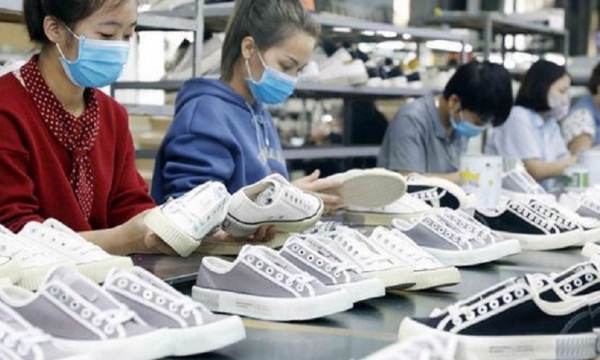 Tỷ lệ nội địa hóa nguyên phụ liệu ngành da giày mới đạt 50%