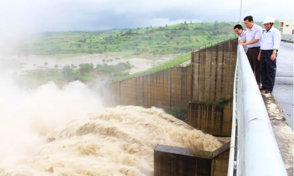 Điểm danh những cổ đông lớn nhất của Thủy điện Sông Ba Hạ