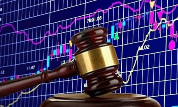 Thêm 2 doanh nghiệp bị Ủy ban Chứng khoán Nhà nước xử phạt