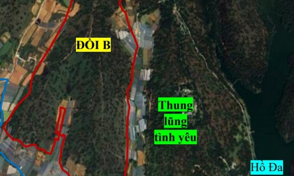 Lâm Đồng: Xây dựng khu du lịch sinh thái trong rừng tự nhiên