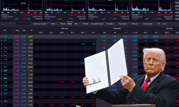 Cổ phiếu ngành gỗ đồng loạt giảm kịch sàn sau tin ông Trump công bố thuế đối ứng 46% với Việt Nam