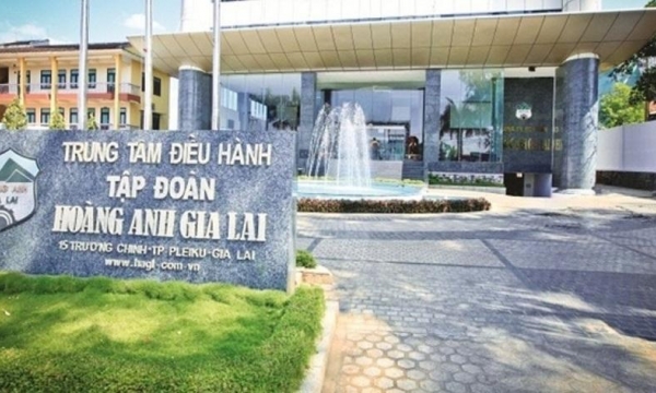 Hoán đổi nợ thành cổ phiếu: Một doanh nghiệp chính thức đặt chân vào nhóm cổ đông lớn HAGL