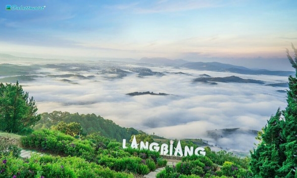 Tin doanh nghiệp nổi bật (14/11): SCIC đấu giá cổ phần tại Dalattourist