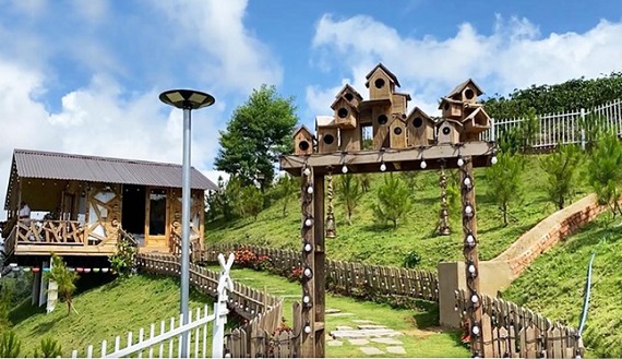 Buộc tháo dỡ nhà trái phép tại khu đất Ngọc Trinh 'khoe' mua trên TP Bảo Lộc