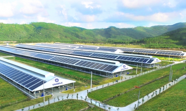 Cổ phiếu Vinamilk hấp dẫn khối ngoại nhờ cổ tức cao