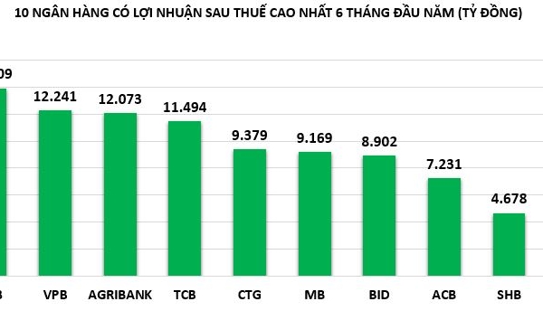 Sau nửa chặng đường, tiến độ thực hiện kế hoạch lợi nhuận ngân hàng phân hóa