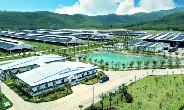 Tiêu dùng bền vững - xu hướng cần được doanh nghiệp nắm bắt và thúc đẩy