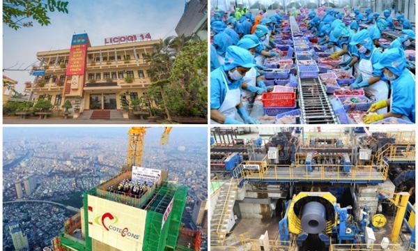 Cầm tiền đi đầu tư chứng khoán, loạt doanh nghiệp ‘tay ngang’ ôm trái đắng