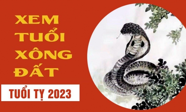 Xem tuổi xông nhà đầu xuân Quý Mão 2023 cho gia chủ tuổi Tỵ may mắn ngập tràn