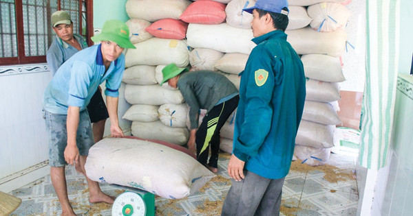Thị trường lúa gạo trái ngược với dự đoán, giá liên tục tăng cao do không đủ nguồn cung