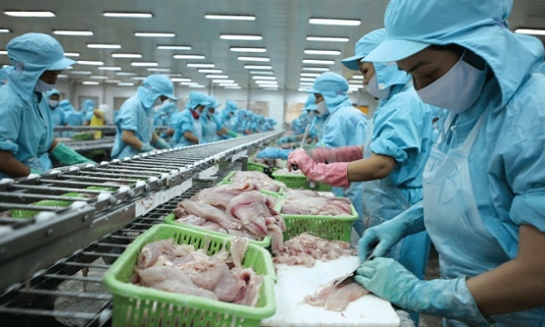 8 vướng mắc cần được tháo gỡ của doanh nghiệp thủy sản