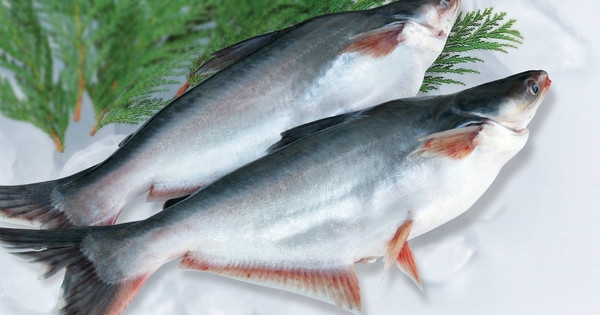 Doanh thu và lợi nhuận cả năm của Vĩnh Hoàn chinh phục đỉnh mới...