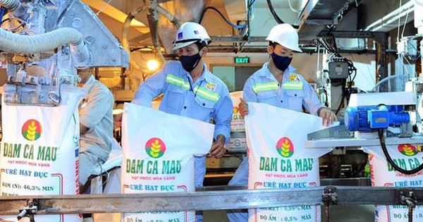 Sau một năm lãi kỷ lục, Đạm Cà Mau (DCM) lên kế hoạch lợi nhuận giảm 67% trong năm 2023