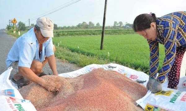 Giá phân bón hôm nay 14/2: Chờ đợi sự thay đổi