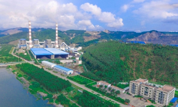 Vi phạm về thuế, nhiệt điện Quảng Ninh bị xử phạt và truy thu hơn 110 triệu đồng