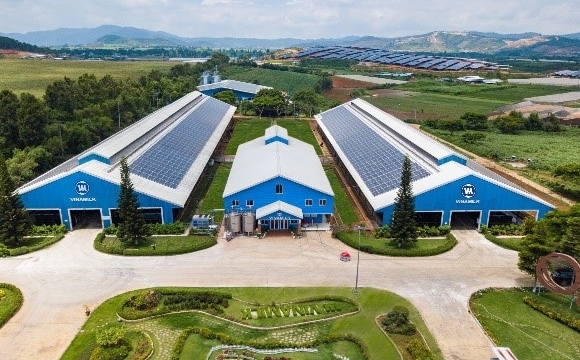 Doanh nghiệp với những 'từ khóa' cho mục tiêu Net Zero 2050